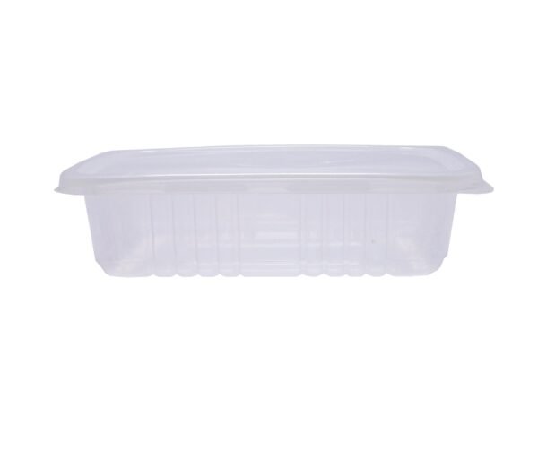 100 Marmita Fitness Incolor Freezer E Micro-ondas 500ml G306