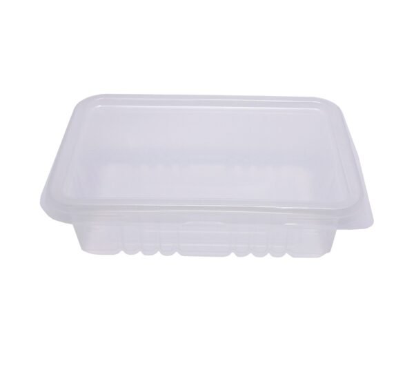 100 Marmita Fitness Incolor Freezer E Micro-ondas 500ml G306 - Imagem 3