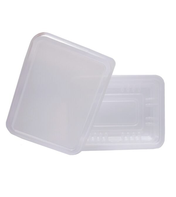 100 Marmita Fitness Incolor Freezer E Micro-ondas 500ml G306 - Imagem 2